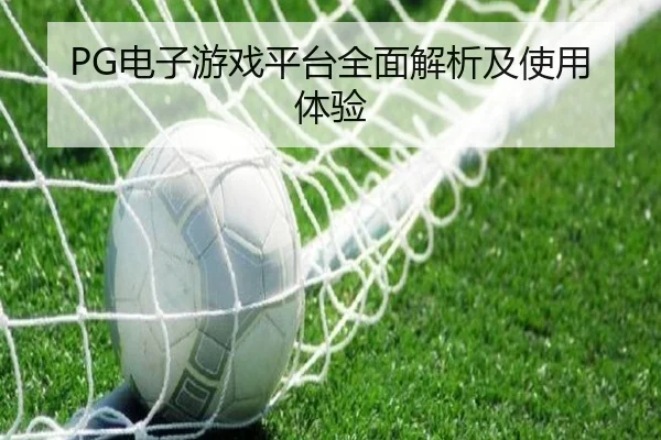 PG电子游戏平台全面解析及使用体验