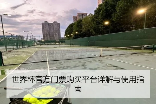 世界杯官方门票购买平台详解与使用指南 | PG